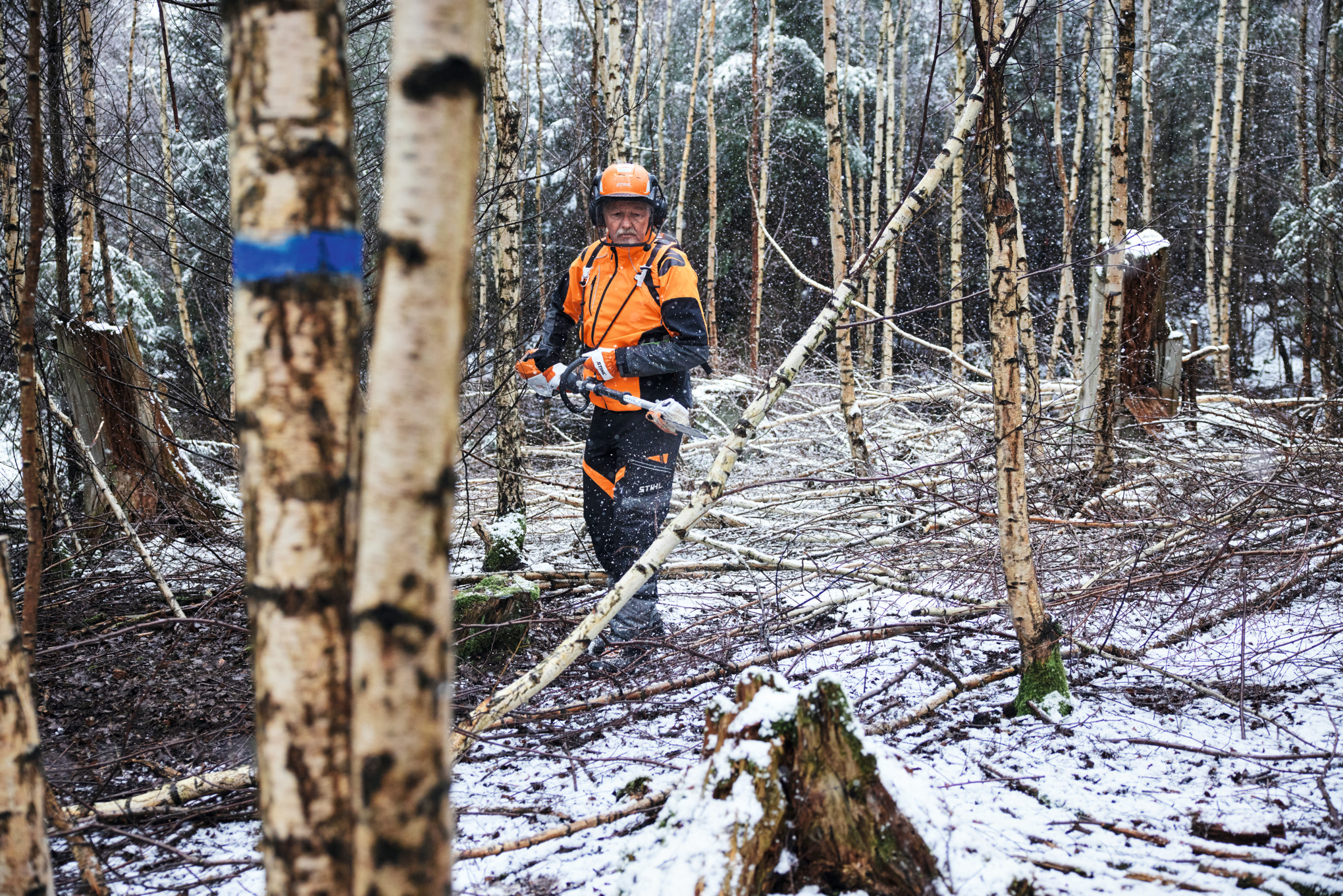 En mand iført beskyttelsesudstyr beskærer et birketræ med en STIHL HTA 150 batteridrevet stangsav