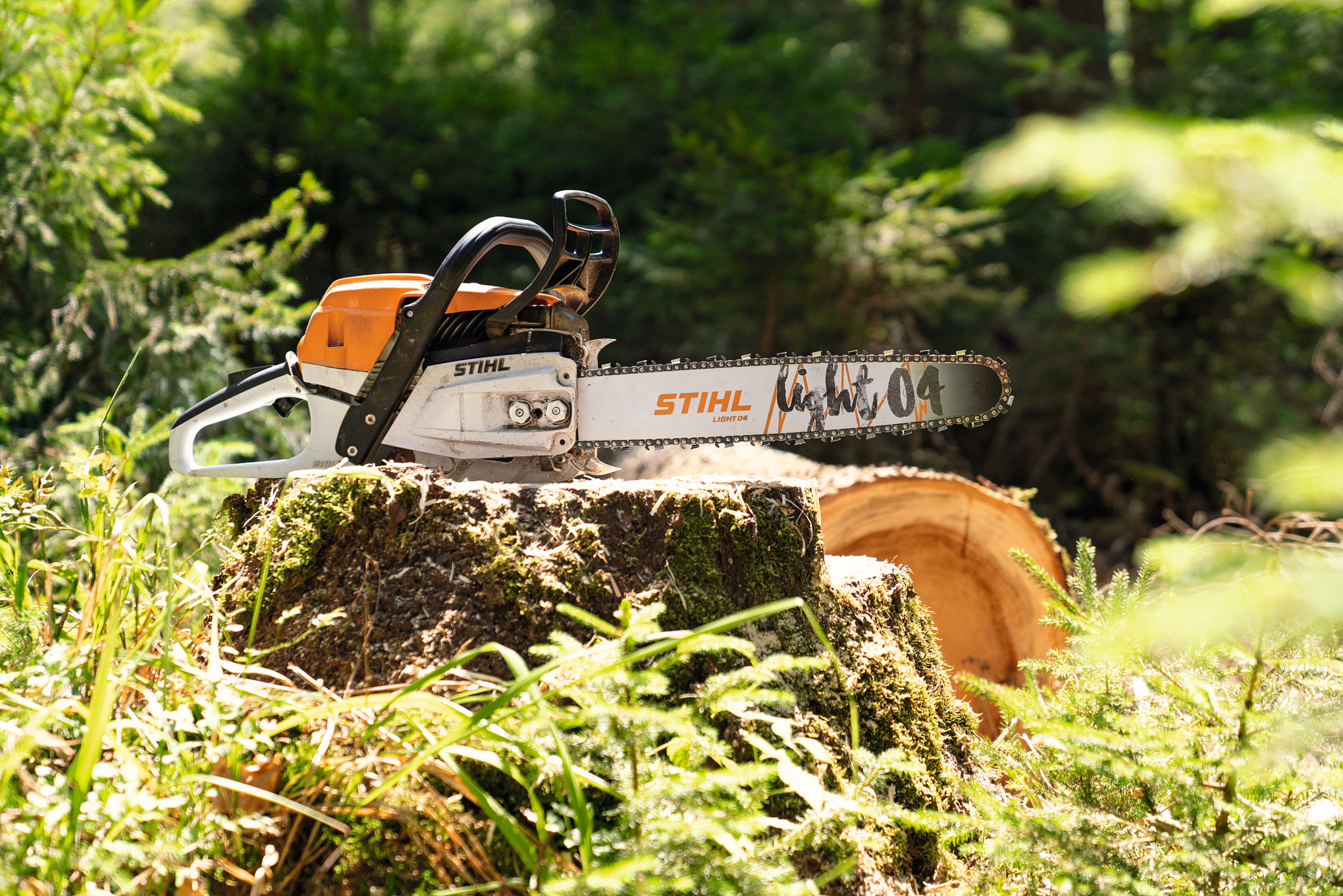 En STIHL MS 261 C-M benzinmotorsav på en træstub i skoven