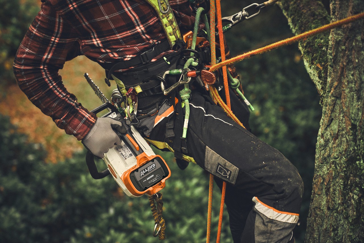 Nærbillede af en person, der klatrer op i et træ med den batteridrevne motorsav STIHL MSA 190 T.